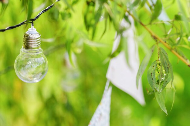 Jak zadbać o odpowiednią instalację elektryczną w ogrodzie