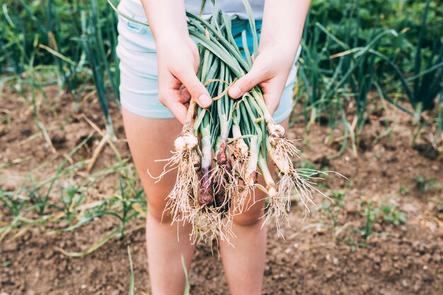 Jak Wybrać Idealne Nasiona Rzodkiewki Holenderskiej do Twojego Ogrodu?